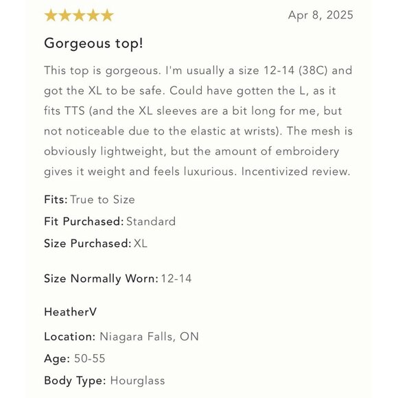 NWT Size L - ANTHROPOLOGIE Sheer Embroidered Mesh Blouse (NWT US$128) - Picture 8 of 16